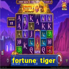 fortune tiger aposta de 1 real